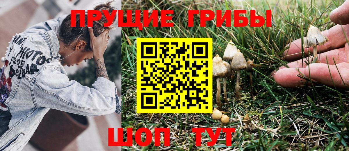 Галлюциногенные грибы Psilocybe  Галлюциногенные грибы Psilocybine cubensis  Вход с VPN  Донецк 
